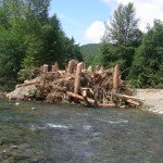 Log Jams Log Jams