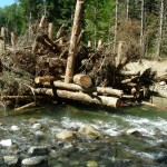 Log Jams Log Jams