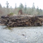 Log Jams Log Jams