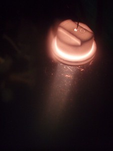 Floating light attracting critters