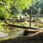 Allison Springs pre rest 12