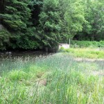 Allison springs pre rest 1