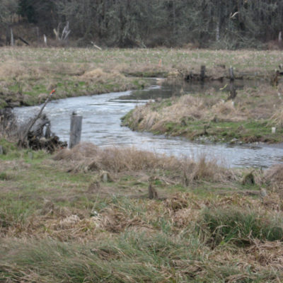 January flood 2012