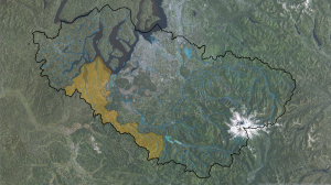 Deschutes Watershed w Rivers