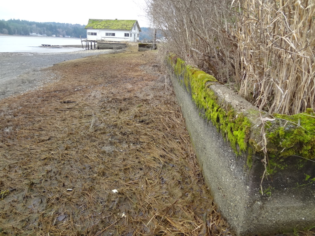 Corner of bulkhead before removal